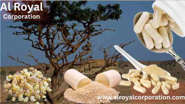 Final-Takeaways-Oral-Uses-and-Health-Remedies-Oman-frankincense